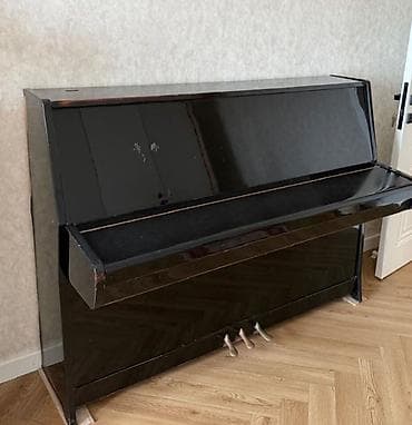 digital piano: Ağac korpuslu, qara rəngdə klassik vertikal pianino. Xüsusiyyətlər: - — 1