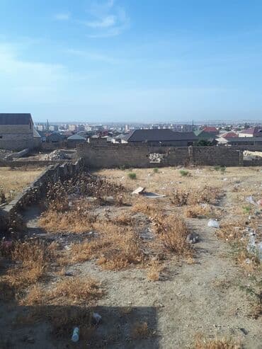 findiq agaci satilir: 4 sot, Tikinti, Mülkiyyətçi, Bələdiyyə — 5