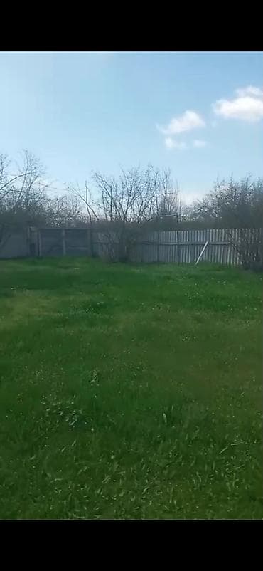 dede qorqud qesebesi: Kənd təsərrüfatı — 7