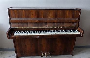 Piano, Petrof, Akustik, İşlənmiş