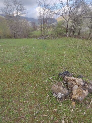 cennet park musfiq qesebesi: Satılır: təbiət qoynunda yaşıllıqla əhatələnmiş torpaq sahəsi — 4