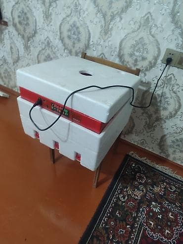 inkubator 2020: Azərbaycan, Fabrik istehsalı, Tam avtomat, Bütün növ quşlaq üçün — 3
