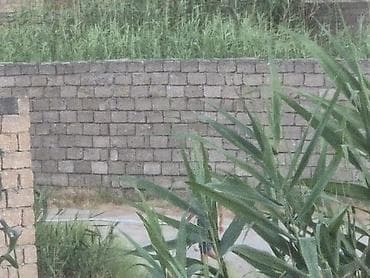 kenquru usaq geyimleri: Ushaq uchun kenquru
Yeni
Chicco firması
50 azn — 5