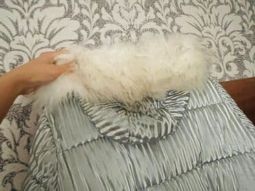 Hicab: Balonka kurtka - az geyinilib, heç bir deffekti yoxdur. S və M bədənə — 2