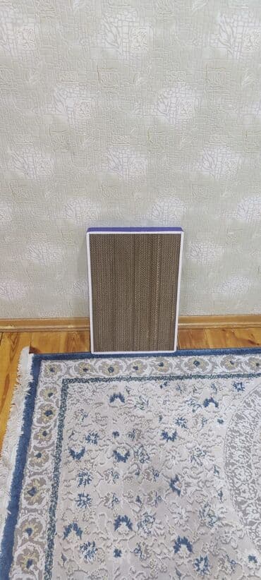 Digər heyvanlar: Когтеточки синяя 20 ман.бежевая 50 ман — 1