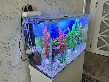 bala keci: Dördbucaq akvarium, Balıqlarla birlikdə, 90 l, Ödənişli çatdırılma — 5