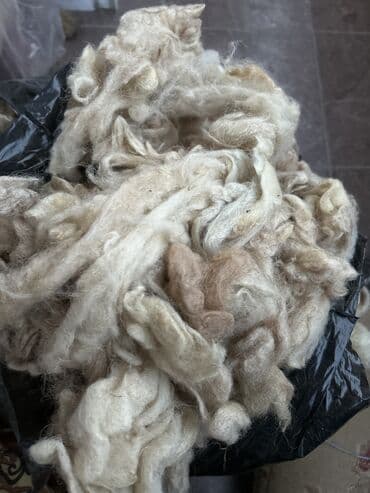 Yun satılır çox keyfiyyetli 40 kq a yaxın var az az da satılır, hazır lalafo.az -da Yun satılır çox keyfiyyetli 40 kq a yaxın var az az da satılır, hazır