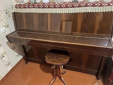 dynacord 2: PETROF akustik pianino – klassik upright model - Brend: PETROF (Çex — 3