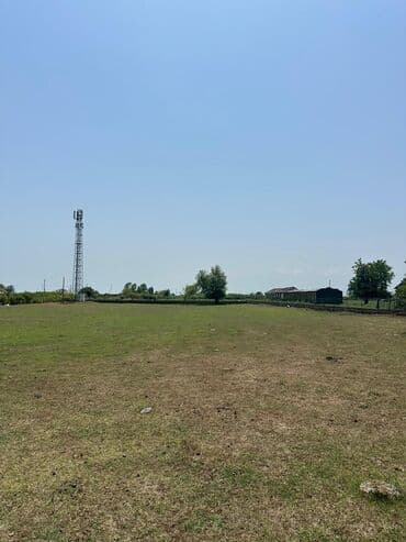 bağ evi satışı: Kənd təsərrüfatı — 1