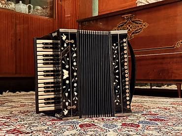 Musiqi alətləri: Qarmon, Akustik, İşlənmiş, Ünvandan götürmə — 1