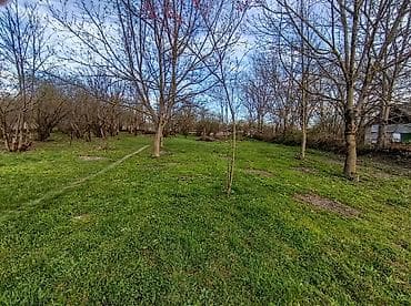 astara torpaq: 16 sot, Tikinti, Mülkiyyətçi, Kupça (Çıxarış) — 3