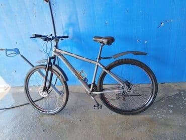 4 təkərli velo: Bu dağ velosipedi müxtəlif ərazilərdə rahat sürmək üçün nəzərdə — 1