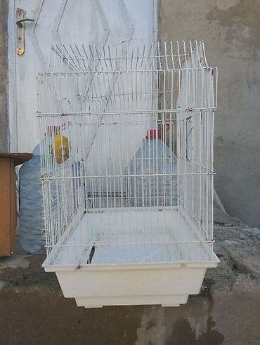 at sekileri: Quş qəfəsləri – müxtəlif ölçü və modellər - 4 ədəd metal barmaqlıqlı — 3