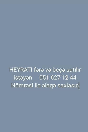 heyvan satisi: Toyuq, Damazlıq — 1