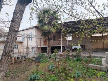 bine atciliqda evler: 4 otaqlı, 111 kv. m, Kredit yoxdur, Orta təmir — 5