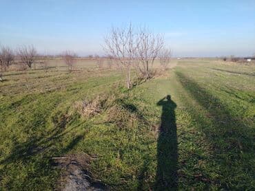 участок с времянкой: 155 соток, Для сельского хозяйства, Собственник, Купчая — 5