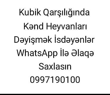 Kubik qarşılığında kənd heyvanlarının barterlə dəyişdirilməsi