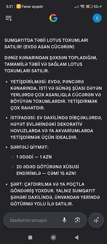 декор дерево: Məhsul: Təbii lotus toxumları (evdə asan cücərən) Xüsusiyyətlər: - — 2