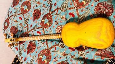 qara tut: Məhsul: Tar (Azərbaycan milli simli musiqi aləti) Təsvir: - Korpus — 8