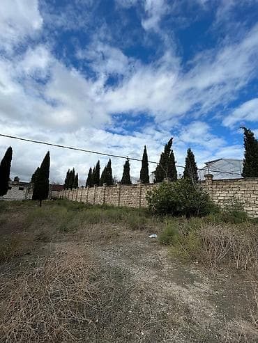 zirede torpaq: 24 sot, Tikinti, Mülkiyyətçi, Kupça (Çıxarış) — 4