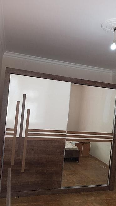 dolab paltar: 2 qapılı, Güzgülü, Rəngli, Digər material, Kupe, Düz dolab — 1