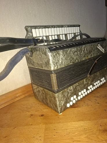 akustik gitara qiymetleri: Akustik Akkordeon, İşlənmiş, Pulsuz çatdırılma — 3