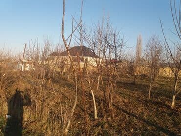 аренда и продажа недвижимости: 13 соток, Для сельского хозяйства, Собственник, Договор — 3