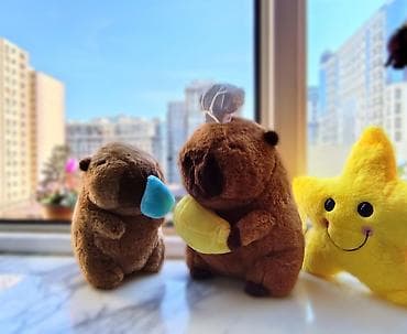 azerbaycan ikinci el: Oyuncaqlar — 9