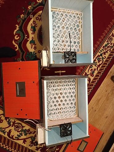 İtlər: Salam inkubator təzədi işlənməyib ikisi bir yerdə 300 AZN isdiyenler — 3