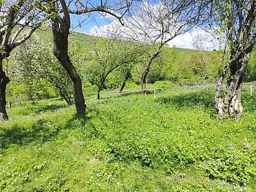 biləcəridə torpaq satılır: 6 sot, Tikinti, Kupça (Çıxarış) — 1