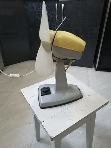 Zərərvericilərə qarşı mübarizə aparatları: Antikvar vintelator ideal vəziyyətdə iwleyir — 3