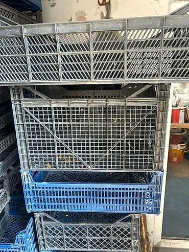 demir konteyner: Plastik meyvə-tərəvəz yeşikləri - Material: möhkəm plastik — 1