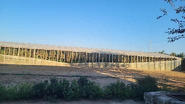 direy: Parnik Bakinin Türkan kəndindədi maraqlanan əlaqə saxlaya bilər . Üstü — 6