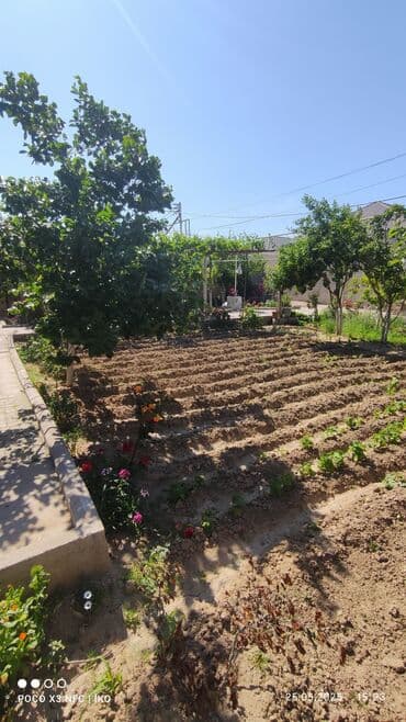 домики в набране: 7 otaqlı, 250 kv. m — 6