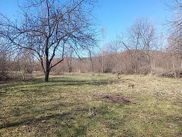 torpag: 183 sot, Kənd təsərrüfatı, Mülkiyyətçi, Kupça (Çıxarış) — 2