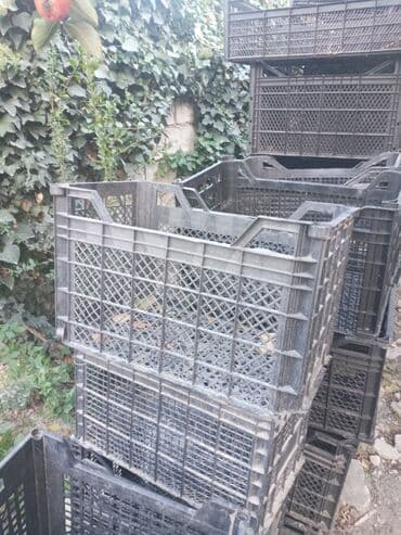 lazer aparatı qiyməti: Satilir plastiq Limon yeşikleri qiymeti 40 qepik kime lazimdirsa — 5