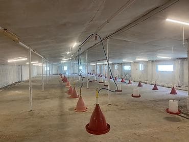 Готовый бизнес: 8000-den çox toyuq tutumuna malikdir 550 kvm saheye malik ferma Elave — 4