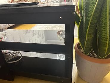 mini stol: Düz TV altlığı, Polkalı, Şüşəli — 5