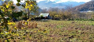 xacmazda torpaq satilir: 9 sot, Tikinti, Mülkiyyətçi, Kupça (Çıxarış) — 4