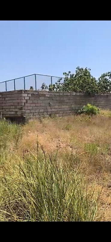 Novxanı sariqaya ətrafı ərazilerde 18 sot torpağ tecili satışa — 1