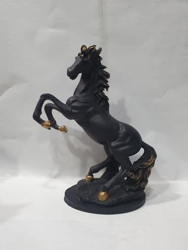 at sekilleri cekmek: Fiqur, Rezin — 25