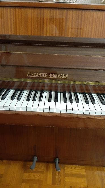 mx 49: Alman pioninası çox səliqəlidir — 2