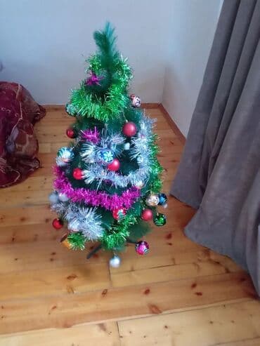 avokado ağacı: Yolkanın hundurluyu. 95 sm üstünde iqruşkalarla birlikdə bele — 4