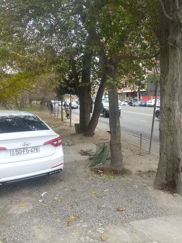 sklad icareye verilir: Salam İcarəyə verilir Məhəllələrin çıxışı Avtobus dayanacağı Mektebin — 8