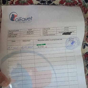 Heyvanlar üçün mallar: Yaxşı əllərə — 4