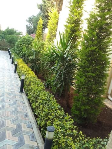 ищу работу садовник на дачу: Salam bağ evlərində, Abyektlərdə parklarda bağban xidməti görülür — 15