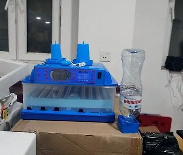 ınqbator: Çin, Fabrik istehsalı, Tam avtomat, Bütün növ quşlaq üçün — 6