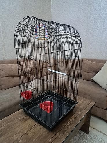 Qəfəs böyik qəfəsdir hündirliyi 90 sm lalafo.az -da Qəfəs böyik qəfəsdir hündirliyi 90 sm