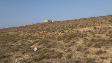 nzsde kiraye evler 2020: 30 sot, Kənd təsərrüfatı, Maklerlər narahat etməsin, Kupça (Çıxarış) — 1