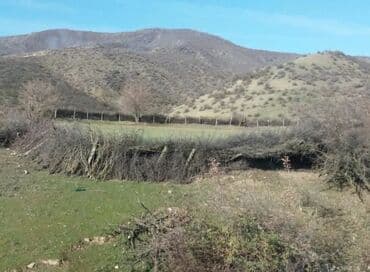 xacmazda satılan evlər: 19 sot, Kənd təsərrüfatı, Mülkiyyətçi, Kupça (Çıxarış) — 5